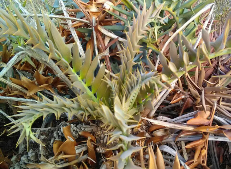 Img 20180425 Wa0016