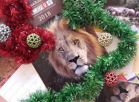 Wildlife Calendar 2018