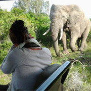 Amakhala Game Reserve Safari Activities