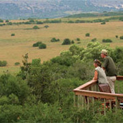 Amakhala Game Reserve Visit Our Lodges