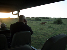 Amakhala Game Reserve December Low Special Game Viewing