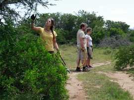 Amakhala Game Reserve Conservation Safari 1