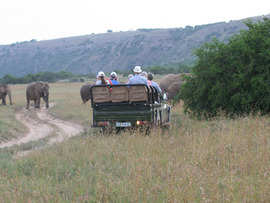 Amakhala Game Reserve Guests On Safari Elephants