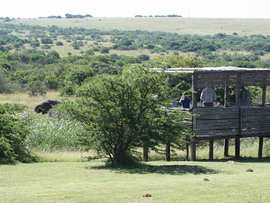 Amakhala Game Reserve Guests Elephant Watering Hole