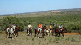 Amakhala Game Reserve Horse Trails Guests In Action