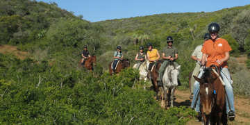 Amakhala Game Reserve Horse Trails Guests Path Guests