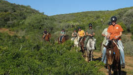 Amakhala Game Reserve Horse Trails Guests Path Guests