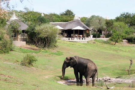 Safari Lodge Norman