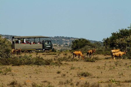 20180917 Acc Vehicle (9)   Smaller 20180917 Acc Vehicle (9)   Smaller