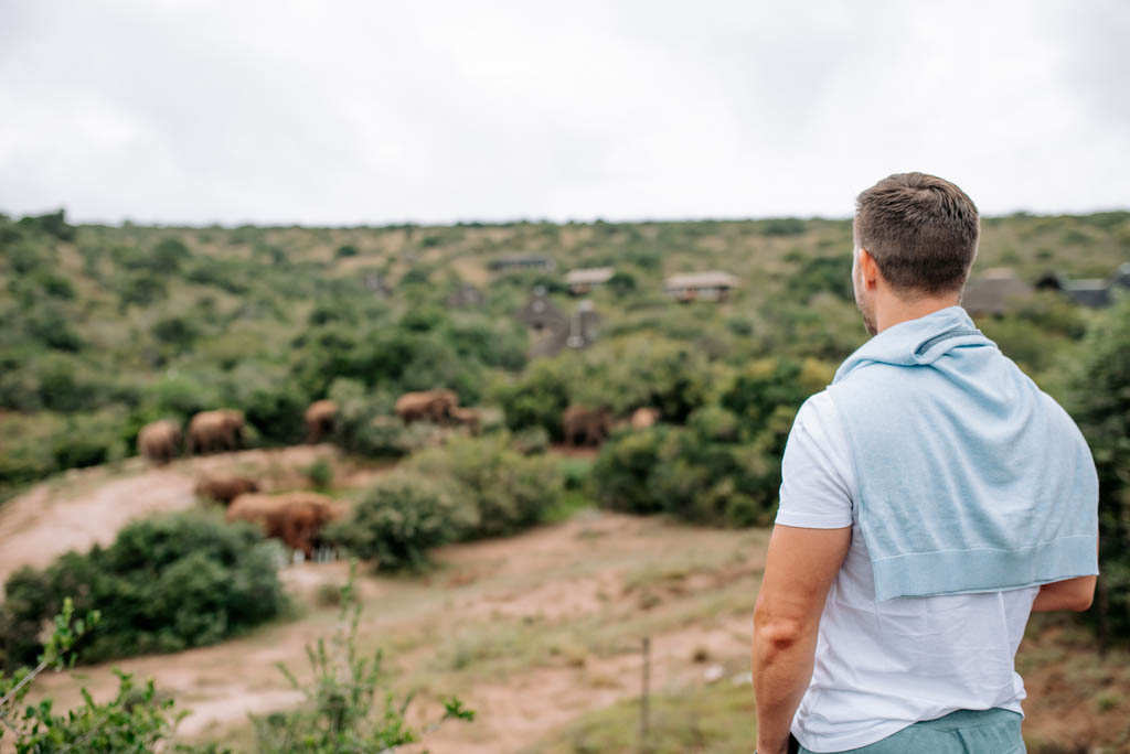 Bukela Lodge Amakhala Game Reserve1