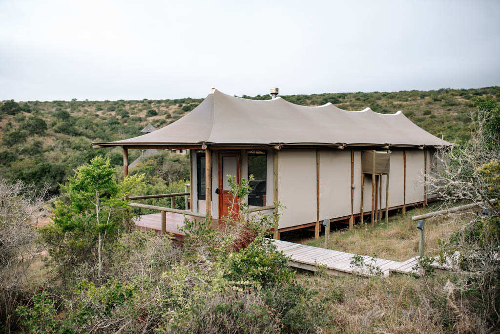 Bukela Lodge Amakhala Game Reserve9