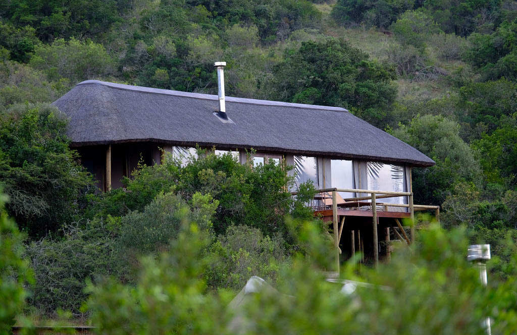 Bukela Lodge Amakhala Game Reserve12