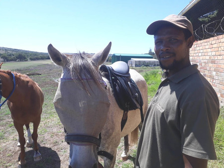 Equine Apu Groomer