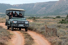 Big 5 Game Drives (6)