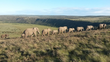 Af Calendar Photos (4) Af Calendar Photos (4)