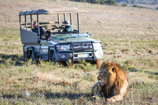 Amakhala Game Reserve2