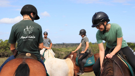 Amakhala Game Reserve Horse Trails In Action