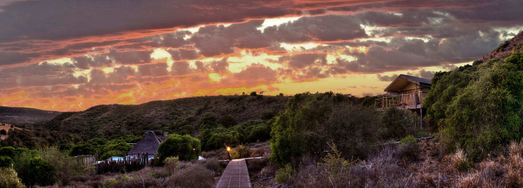 Amakhala Game Reserve Hillsnek Safari Camp Dawn