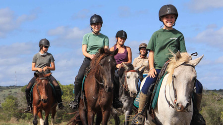 Amakhala Game Reserve Horse Trails Family Friendly