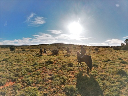 Equine Anti Poaching Unit (7)