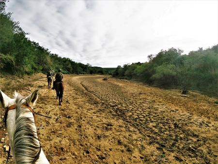 Equine Anti Poaching Unit (5)