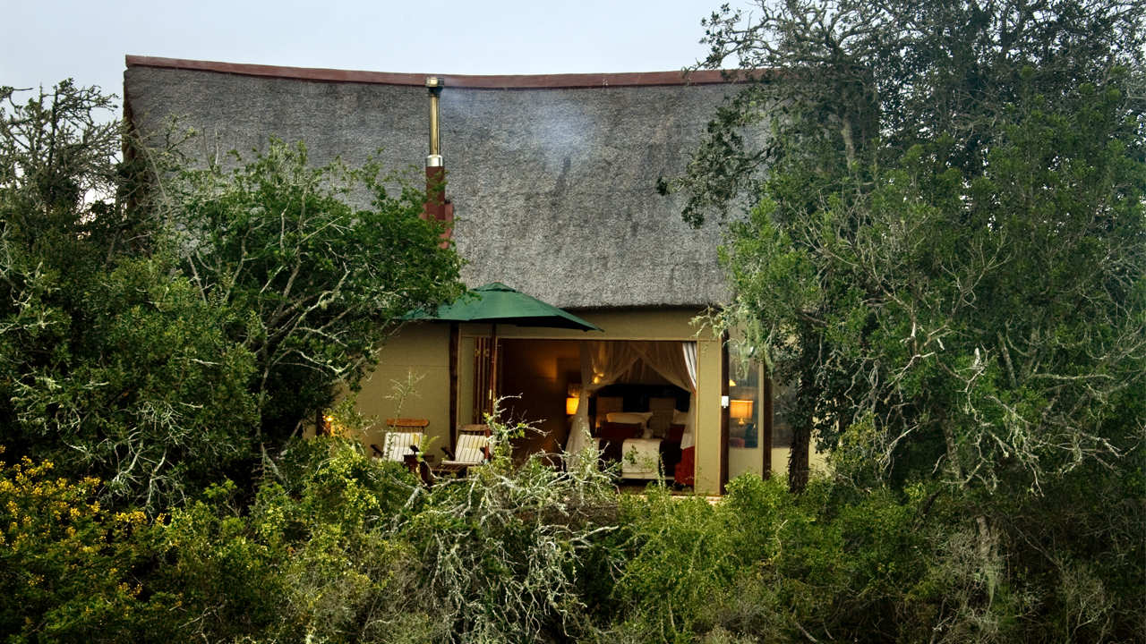 Bush Lodge Amakhala Game Reserve Suite Exterior View