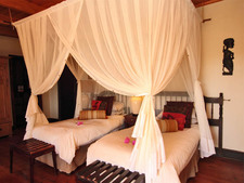 Amakhala Game Reserve Safari Reed Valley Inn Twinroom