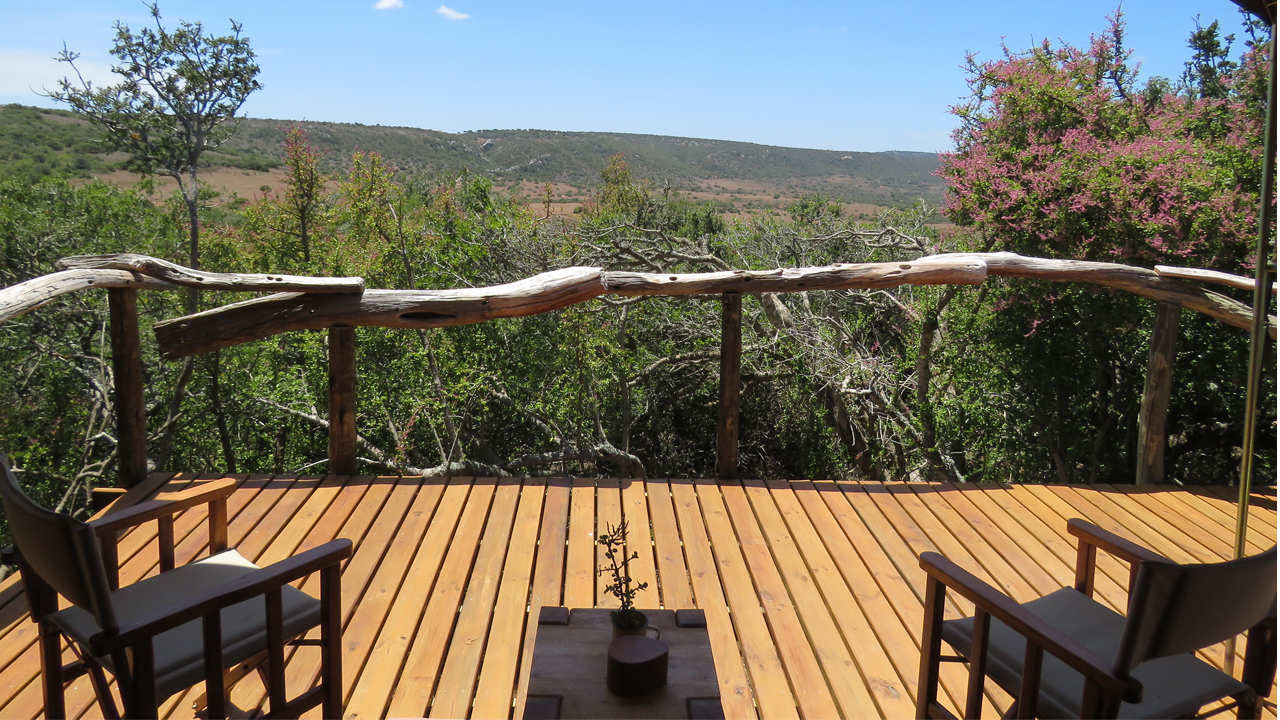 Amakhala Game Reserve Woodbury Tented Camp Tents View