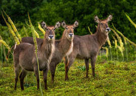 Amakhala Game Reserve Experience5