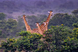 Amakhala Game Reserve Experience2