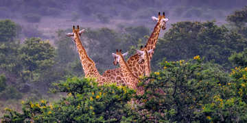 Amakhala Game Reserve Experience2