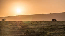 Amakhala Game Reserve Experience21