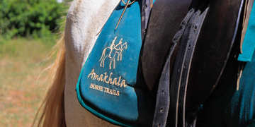 Amakhala Game Reserve Horse Trails