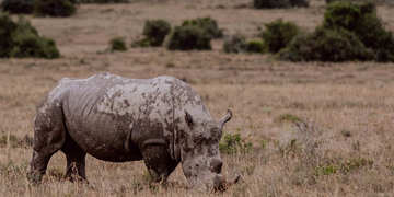 Amakhala Game Reserve Experience16