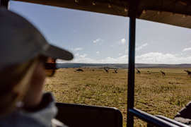 Amakhala Game Reserve Experience19