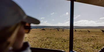 Amakhala Game Reserve Experience19