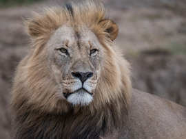 Amakhala Game Reserve Experience23