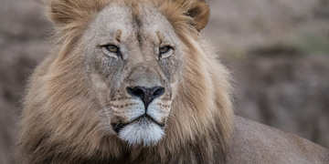 Amakhala Game Reserve Experience23