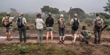 Amakhala Game Reserve Experience24