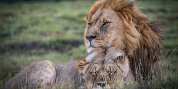 Amakhala Game Reserve Experience25