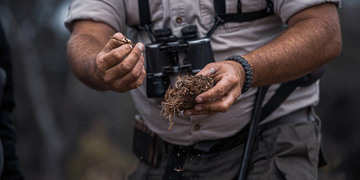 Walking Safaris   Amakhala Game Reserve (8)