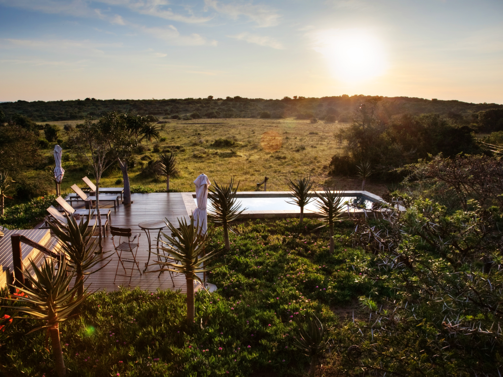 Bush Lodge Amakhala 6