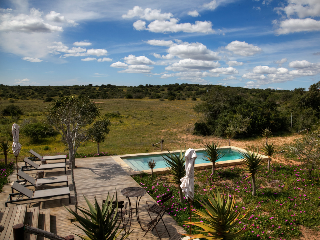 Bush Lodge Amakhala 12