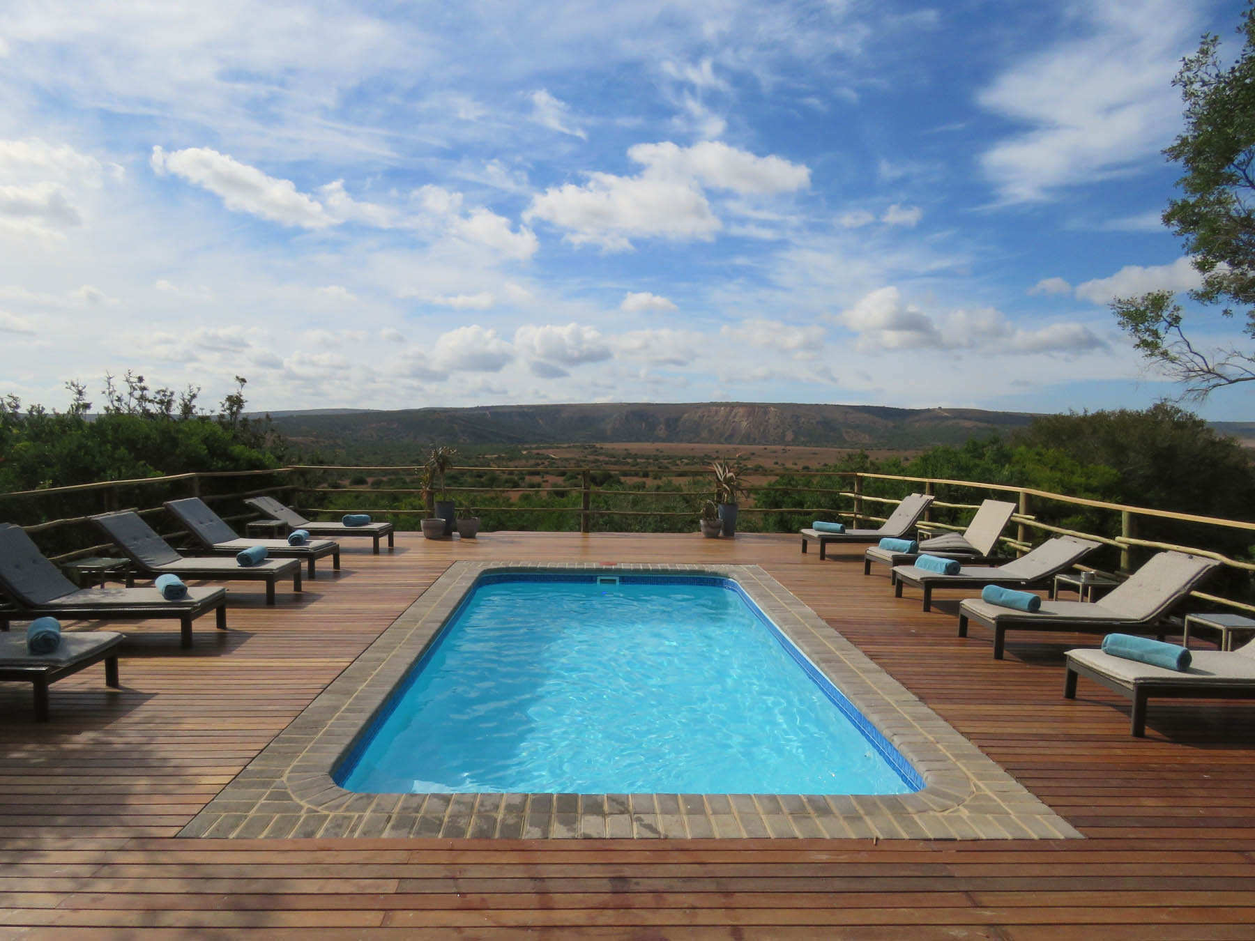 Amakhala Game Reserve Woodbury Lodge Pool