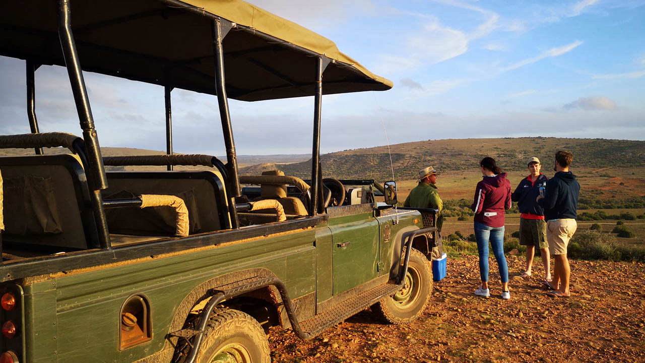 Amakhala Game Reserve Carnarvon Game Drive View