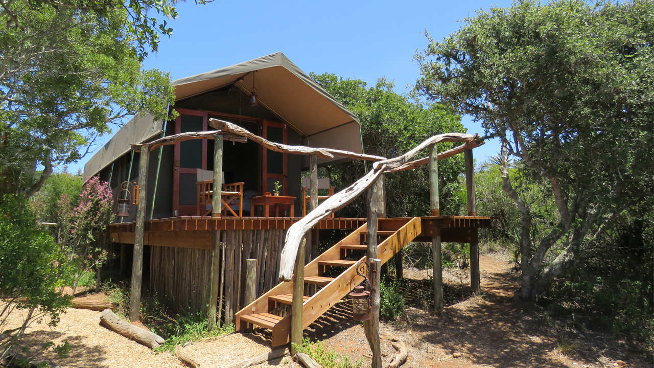 Amakhala Game Reserve Woodbury Tented Camp Tents