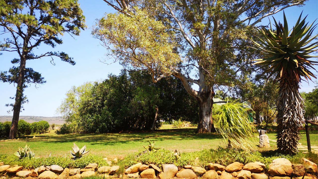 Amakhala Game Reserve Carnarvon Dale Gardens View