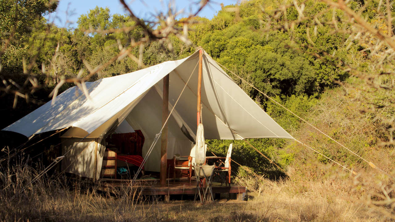 Amakhala Game Reserve Quatermains Safari Camp Tent