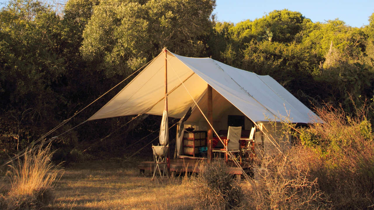 Amakhala Game Reserve Quatermains Safari Camp Tent View