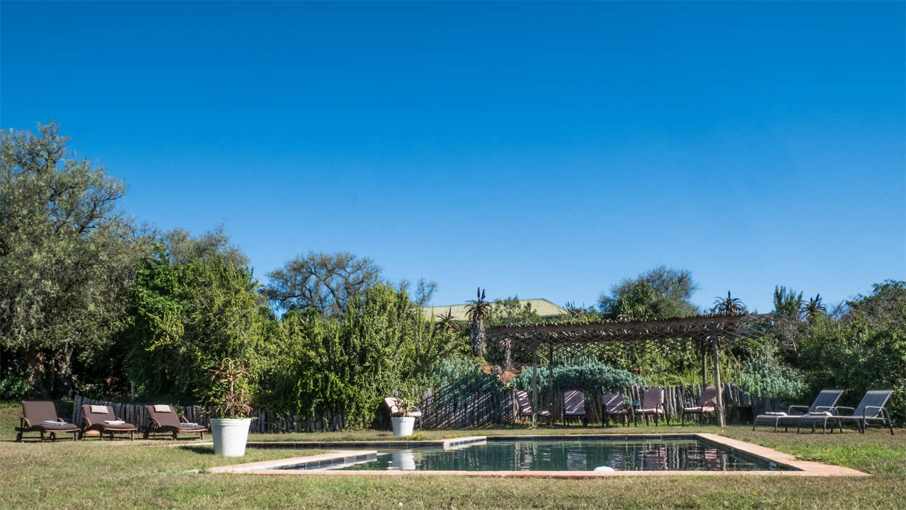 Amakhala Game Reserve Leeuwenbosch Country House Pool View